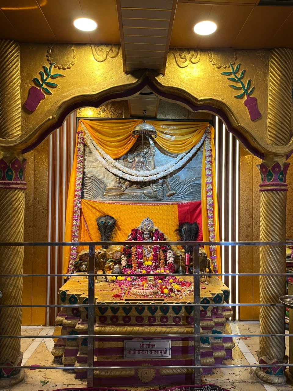 Gallery photo 17